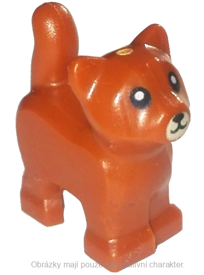 80686pb02 Dark Orange Cat, Baby Kitten, Standing with Tan Muzzle and Black Mouth