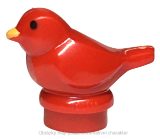 41835pb01 Red Bird, Small with Black Eyes and Bright Light Orange Beak