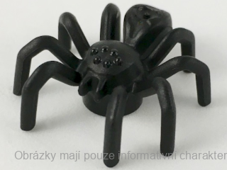 29111 Black Spider with Elongated Abdomen