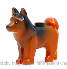 16606pb002 Dark Orange Dog, Husky with Black Eyes and Nose