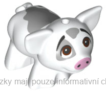 28318pb03 White Pig, Moana with Reddish Brown Eyes Looking Up (Pua)