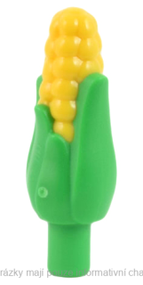 1411pb01 Bright Green Corn Cob with Husk and Molded Yellow Kernels (Maize)